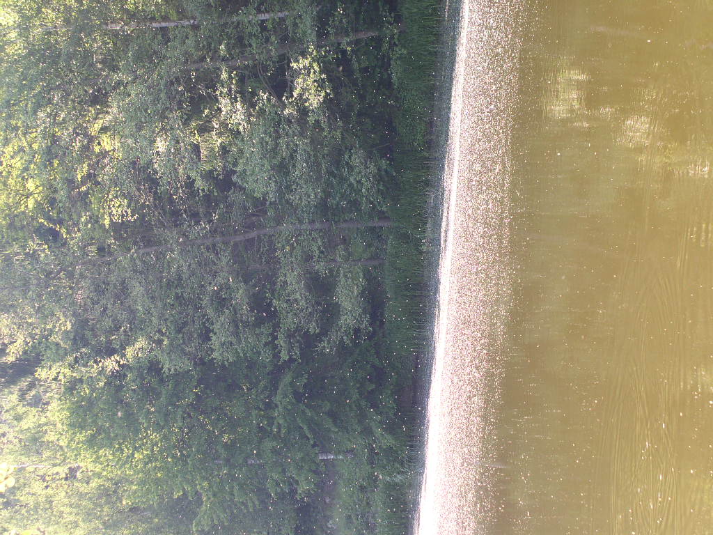P1010099.JPG
